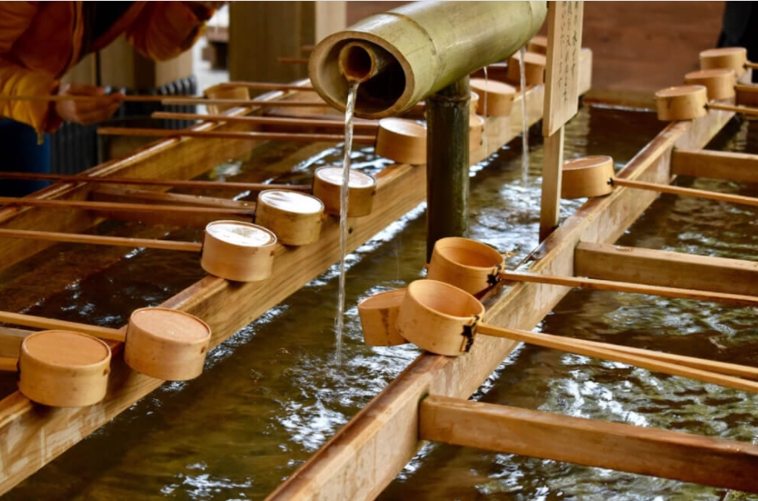 2022 新年新希望—學做網站